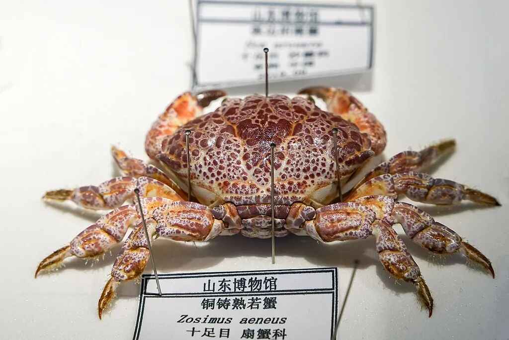640 (复件).jpg